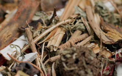 Chinese Herbal Medicine May Have Delayed Benefit in Stroke