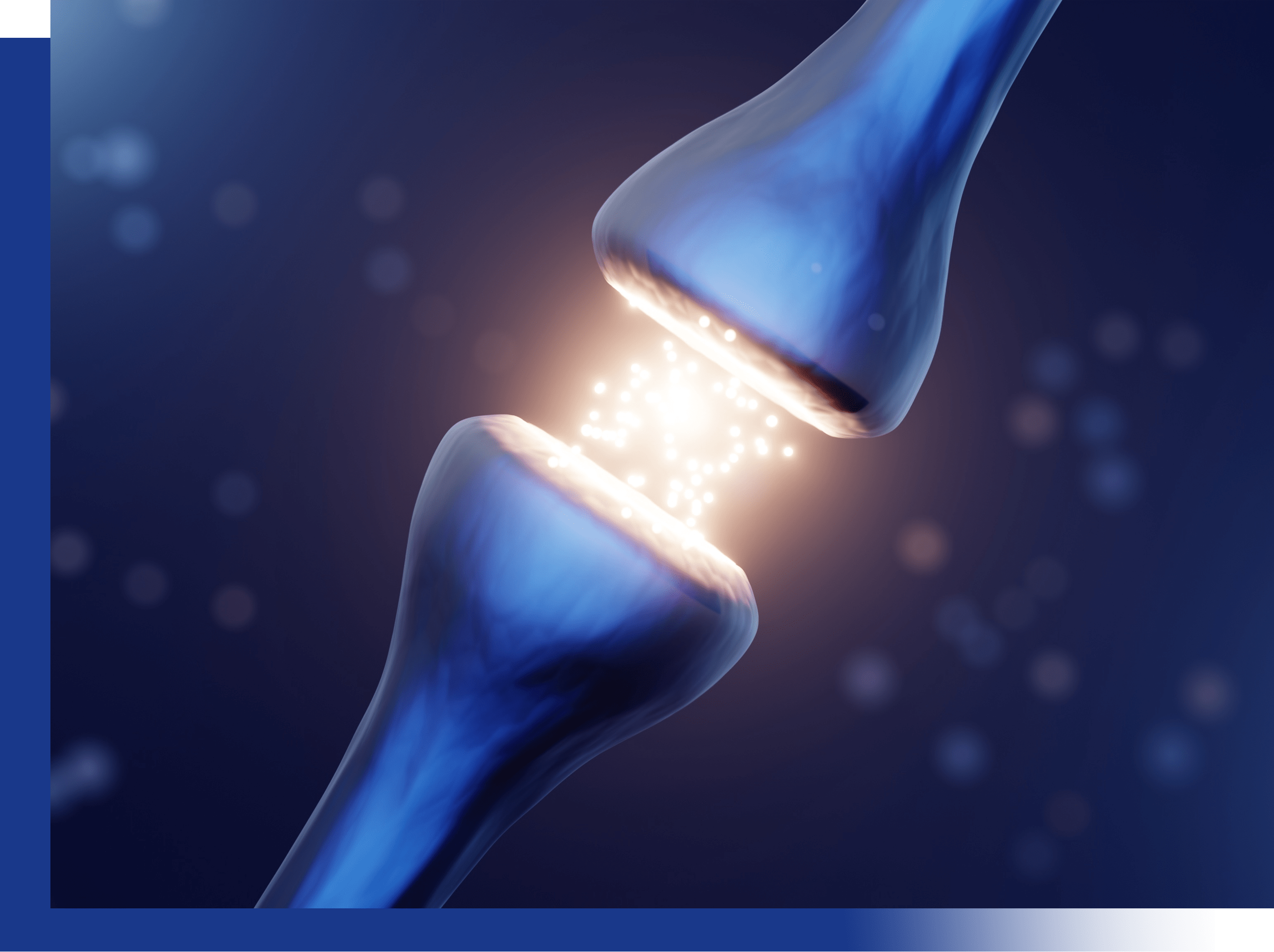 CognivAiD contains Croci Stigma, Ginkgo Folium and Ginseng Radix et Rhizoma