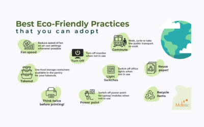 Creating a Greener Workplace: Moleac’s Commitment to Sustainability