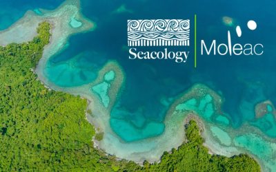 Moleac Partners with Seacology to Protect Ecosystems and Cultures