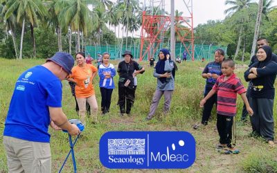 Protecting Sea Turtles and Empowering Communities in Pitas Laut 🌿🐢💙