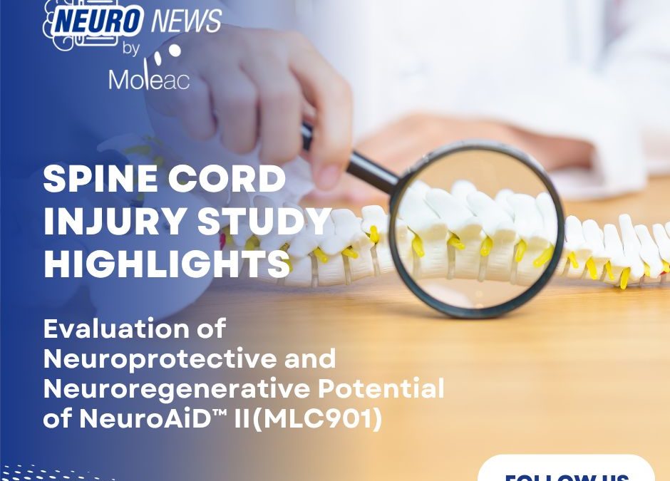 🧠 NeuroAiD™II Shows Promising Results in Spinal Cord Injury Preclinical Study