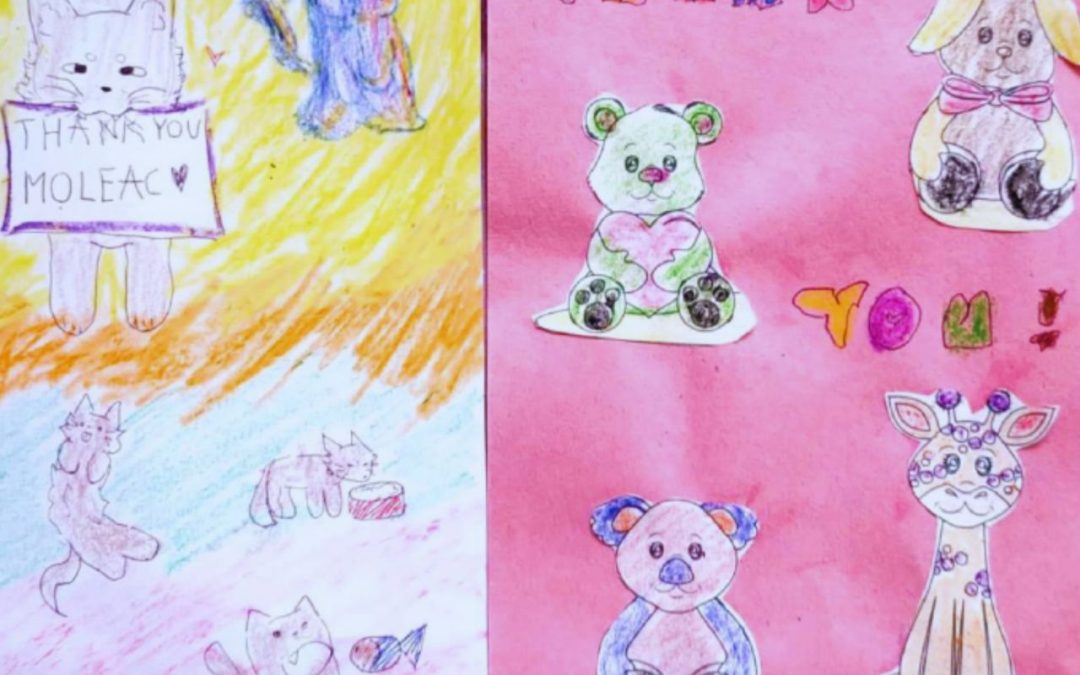 Moleac’s Partnership with Kythe Foundation: Supporting Children with Cancer and Chronic Illnesses