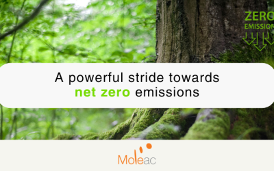 Championing Sustainability: Moleac’s Commitment to Habitat Preservation and Reforestation for a Greener Tomorrow