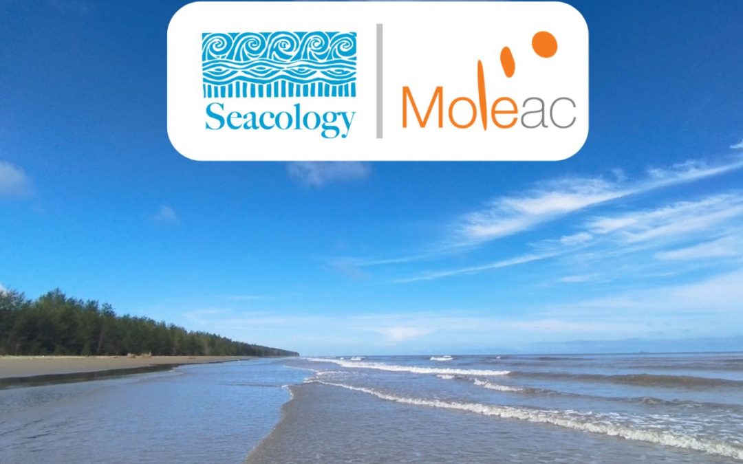 Celebrating Earth Day: Moleac Supports Seacology’s Conservation Efforts in Malaysia
