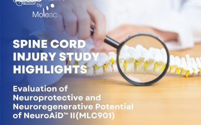 🧠 NeuroAiD™II Shows Promising Results in Spinal Cord Injury Preclinical Study