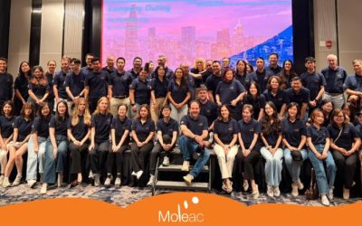 Stronger Together: Highlights from Moleac’s Annual Company Outing in Ho Chi Minh City